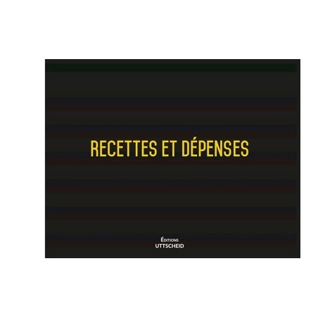 Journal Recettes Dépenses des Professions Libérales 30 x 42 cm - 81 pages en couleurs pour reposer la vue