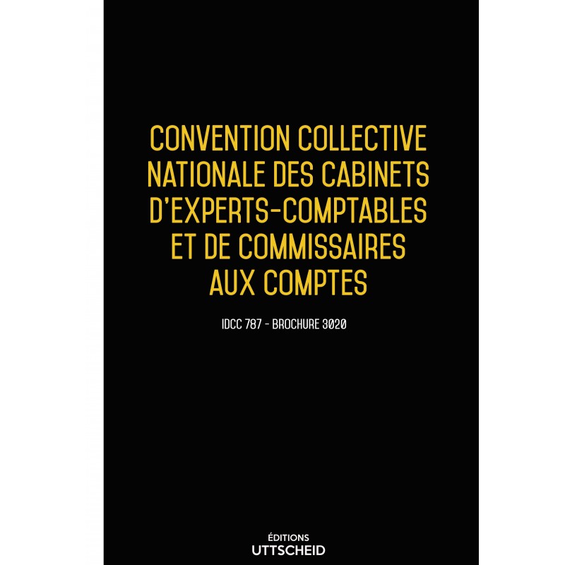 copy of Convention collective nationale Comptables et Commissaires aux comptes -