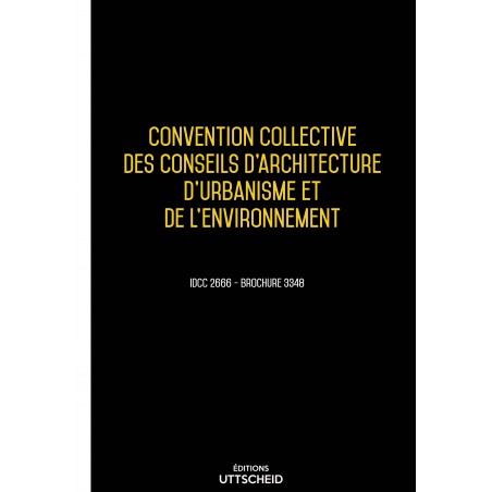 copy of Convention collective des conseils d'architecture, d'urbanisme et de l'environnement -