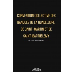 copy of Convention collective des banques de la Guadeloupe, de Saint-Martin et de Saint-Barthélemy -