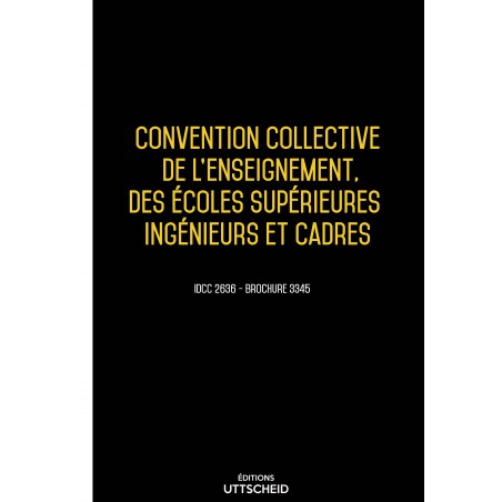 copy of Convention collective de l'enseignement, des écoles supérieures ingénieurs et cadres -